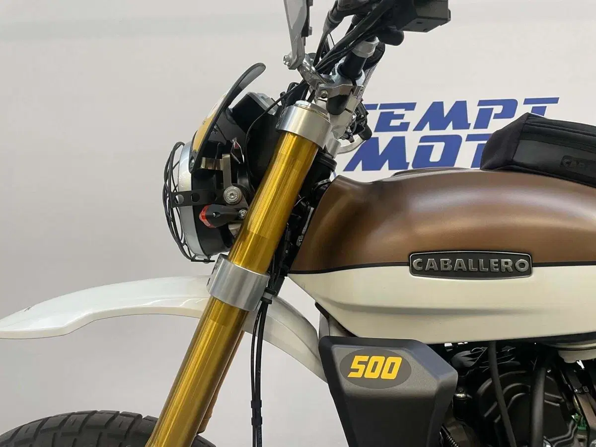 Fantic Motor Caballero 500 Rally (2024) (12)