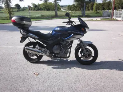 Yamaha TDM 900 (2002 - 14) usata