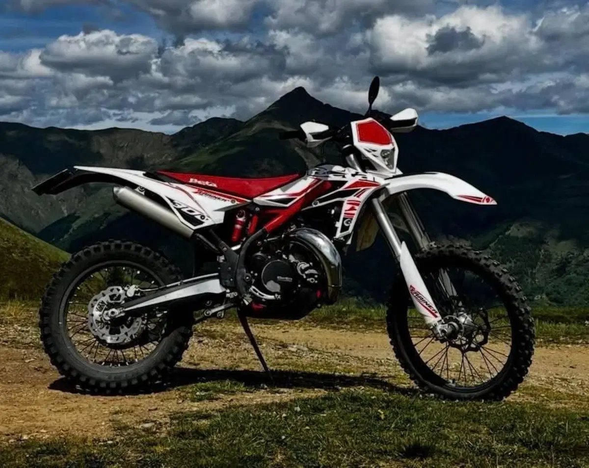 Betamotor Xtrainer 300 2t (2015 - 16) (2)