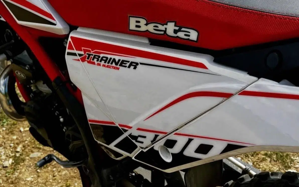 Betamotor Xtrainer 300 2t (2015 - 16) (5)