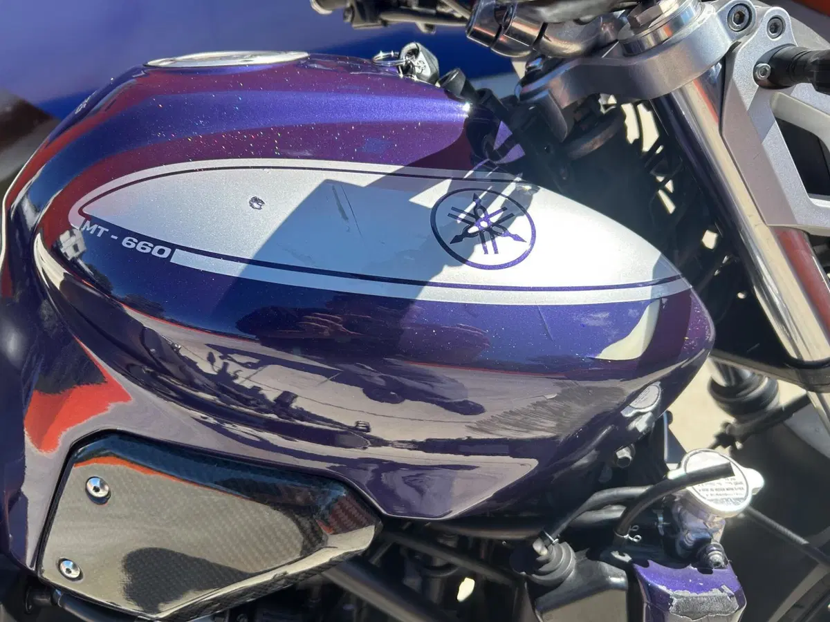 Yamaha MT-03 (2006 - 14) (5)