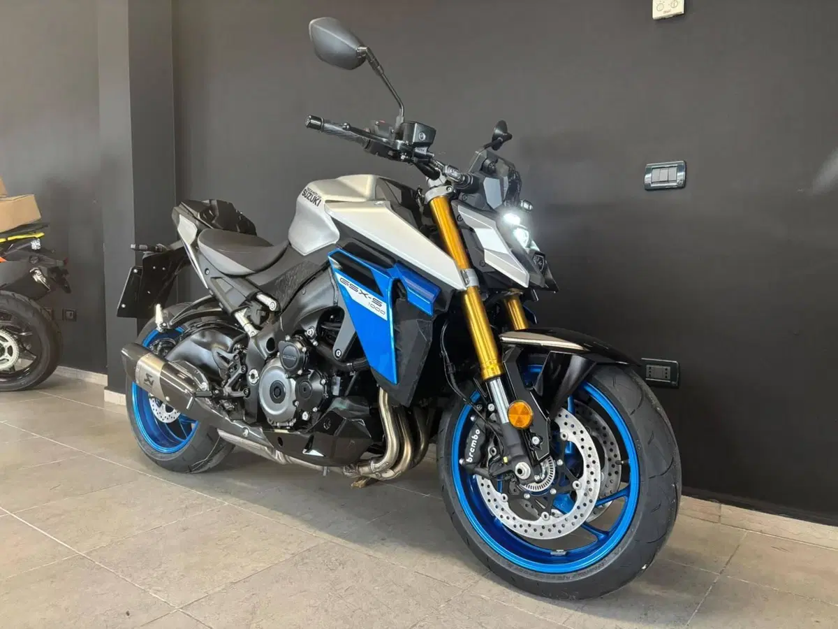 Suzuki GSX-S1000 EVO (2025 - 26) (3)