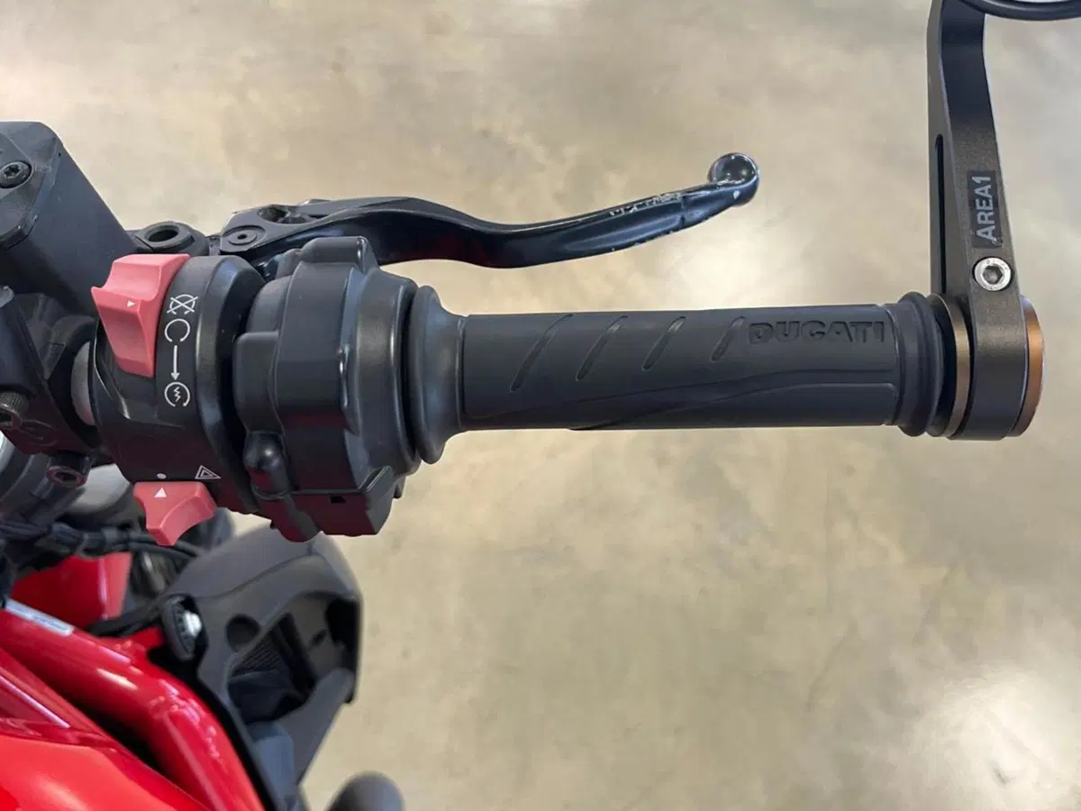 Ducati Monster 821 ABS (2014 - 17) (11)