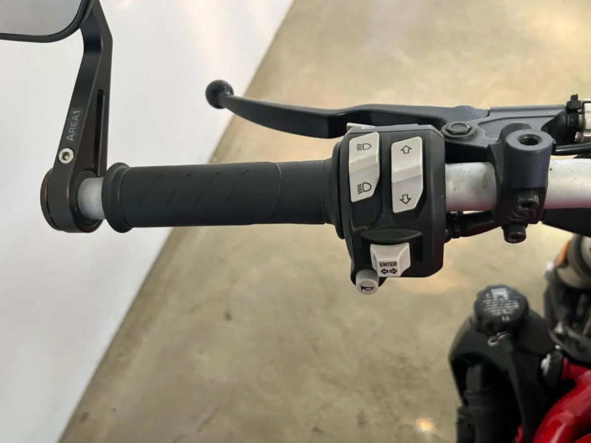 Ducati Monster 821 ABS (2014 - 17) (12)
