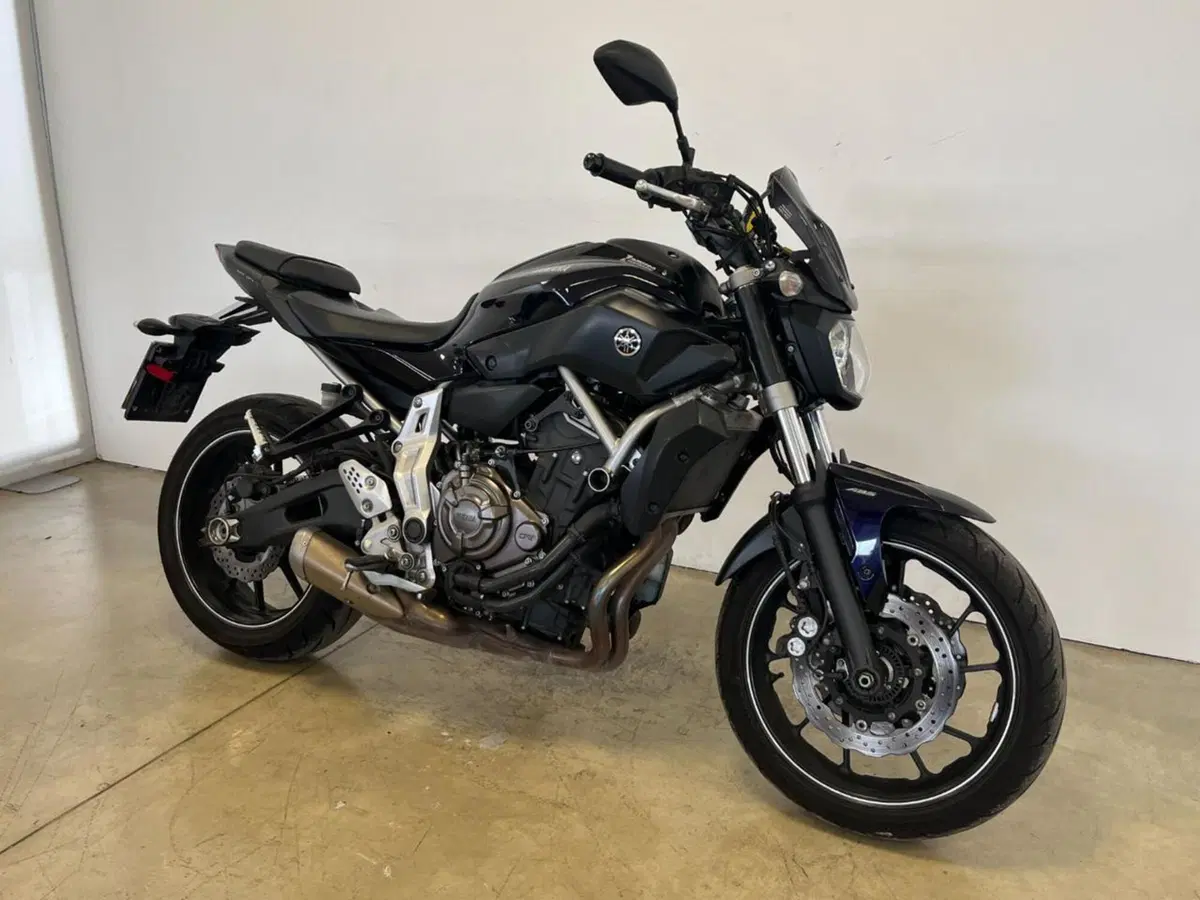 Yamaha MT-07 (2014 - 16) (2)