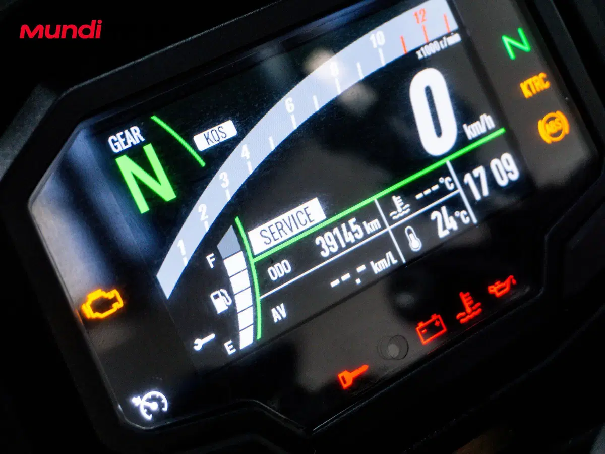 Kawasaki Ninja 1000 SX (2020) (12)