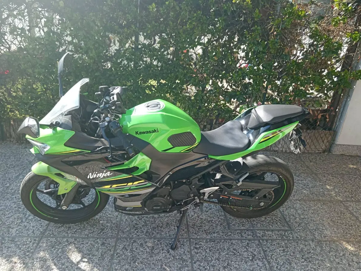 Kawasaki Ninja 400 (2018 - 20) (2)
