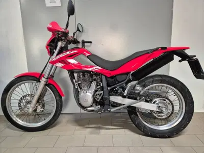 Betamotor Alp 4.0 (2008 - 17) usata