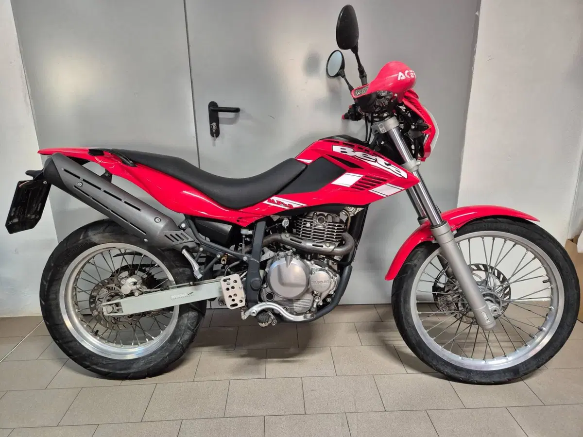 Betamotor Alp 4.0 (2008 - 17) (2)