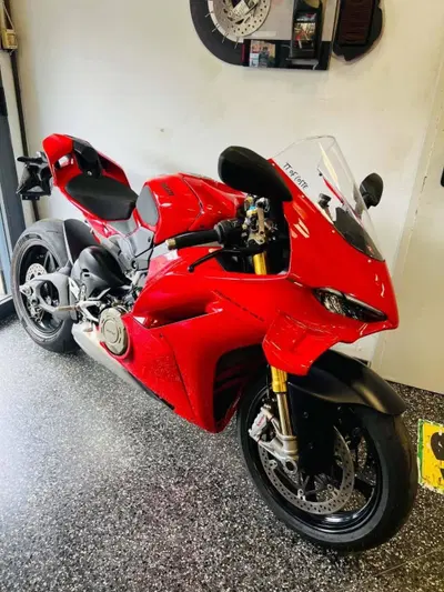 Ducati Panigale V4 S (2025 - 26) usata