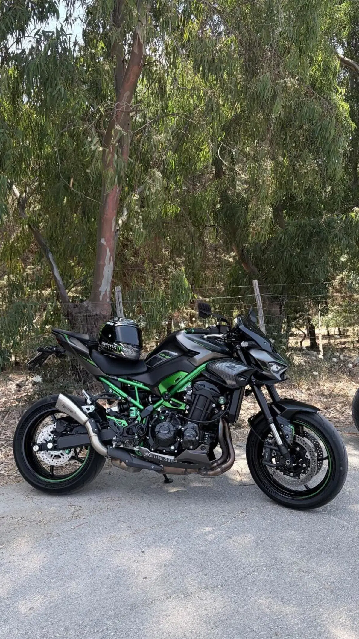 Kawasaki Z 900 (2025 - 26) (6)