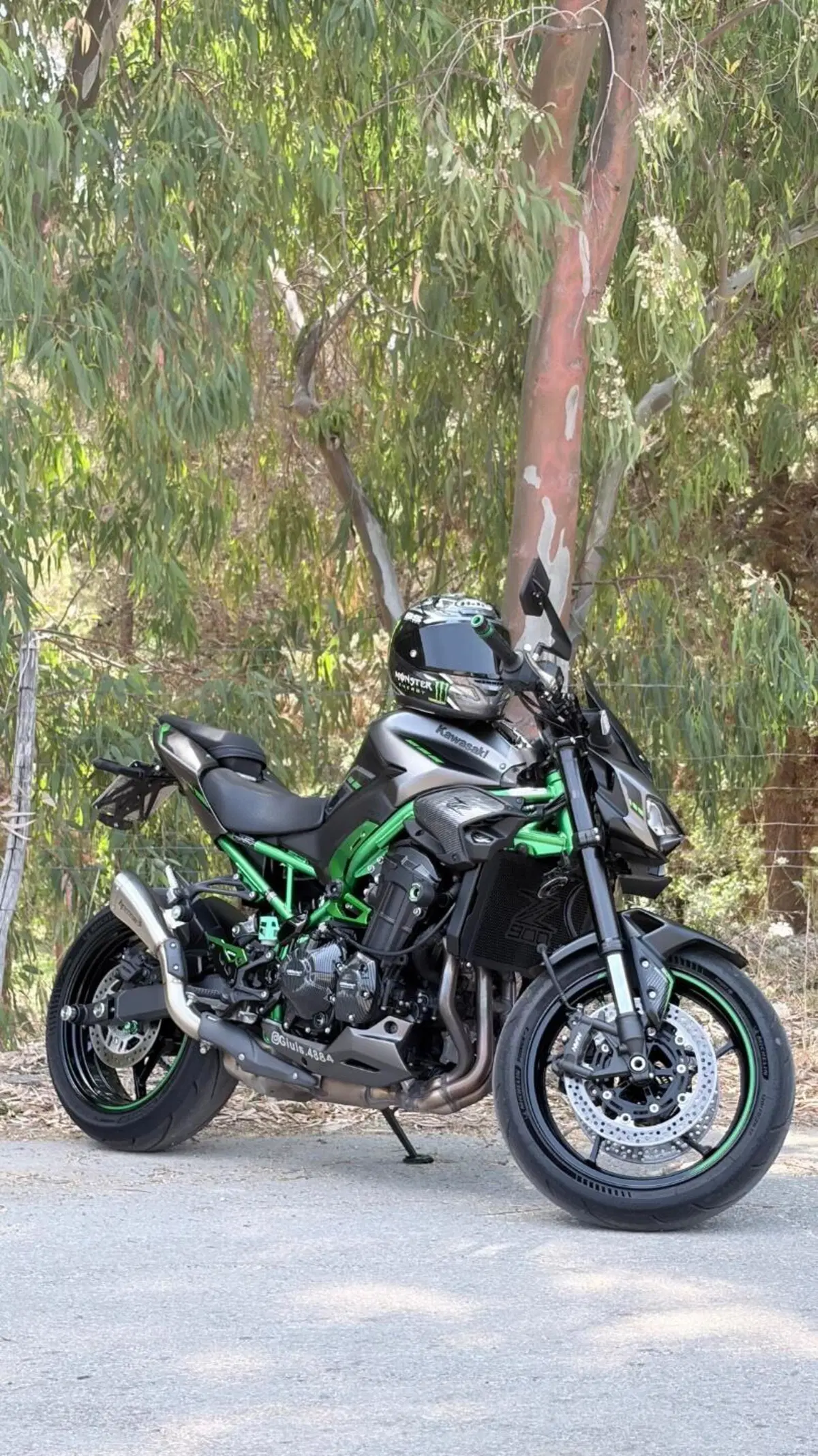 Kawasaki Z 900 (2025 - 26)