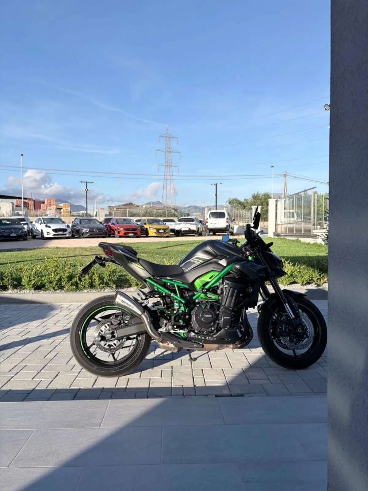 Kawasaki Z 900 (2025 - 26) (7)