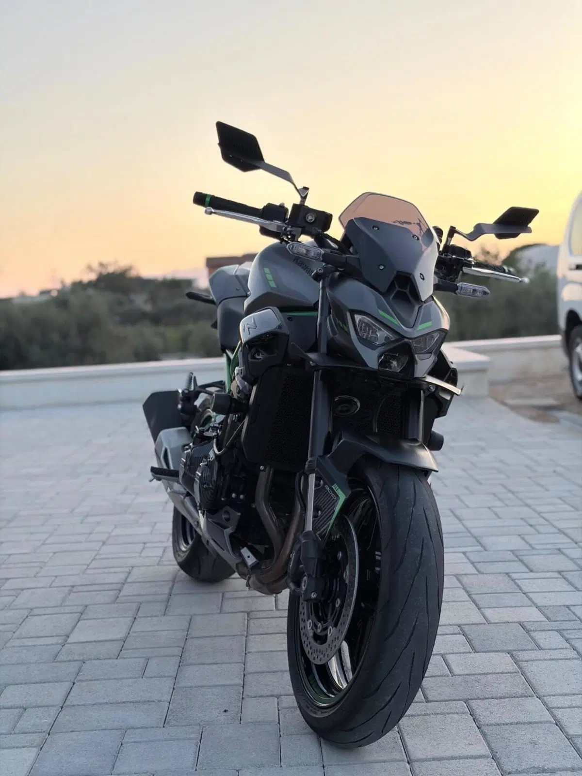 Kawasaki Z 900 (2025 - 26) (2)