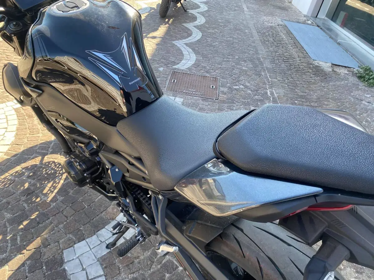 Kawasaki Z 900 (2025 - 26) (5)
