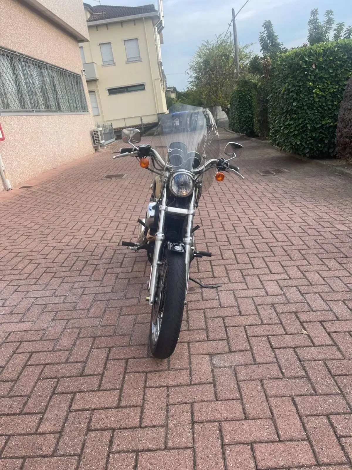 Harley-Davidson 1200 Roadster (2006 - 08) - XL 1200R (2)