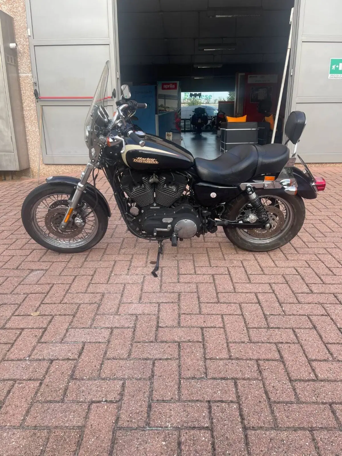 Harley-Davidson 1200 Roadster (2006 - 08) - XL 1200R (3)