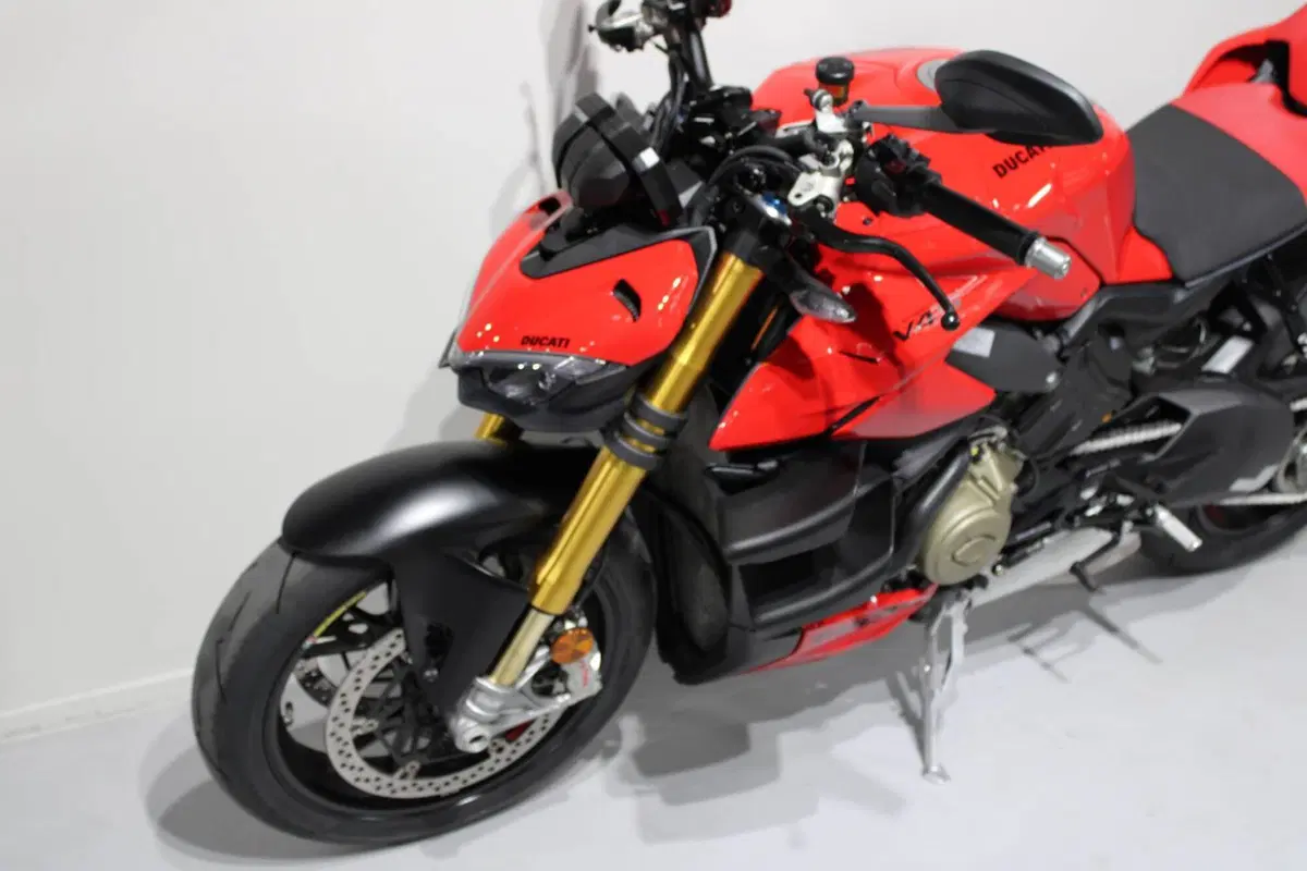 Ducati Streetfighter V4 S (2023 - 24) (8)
