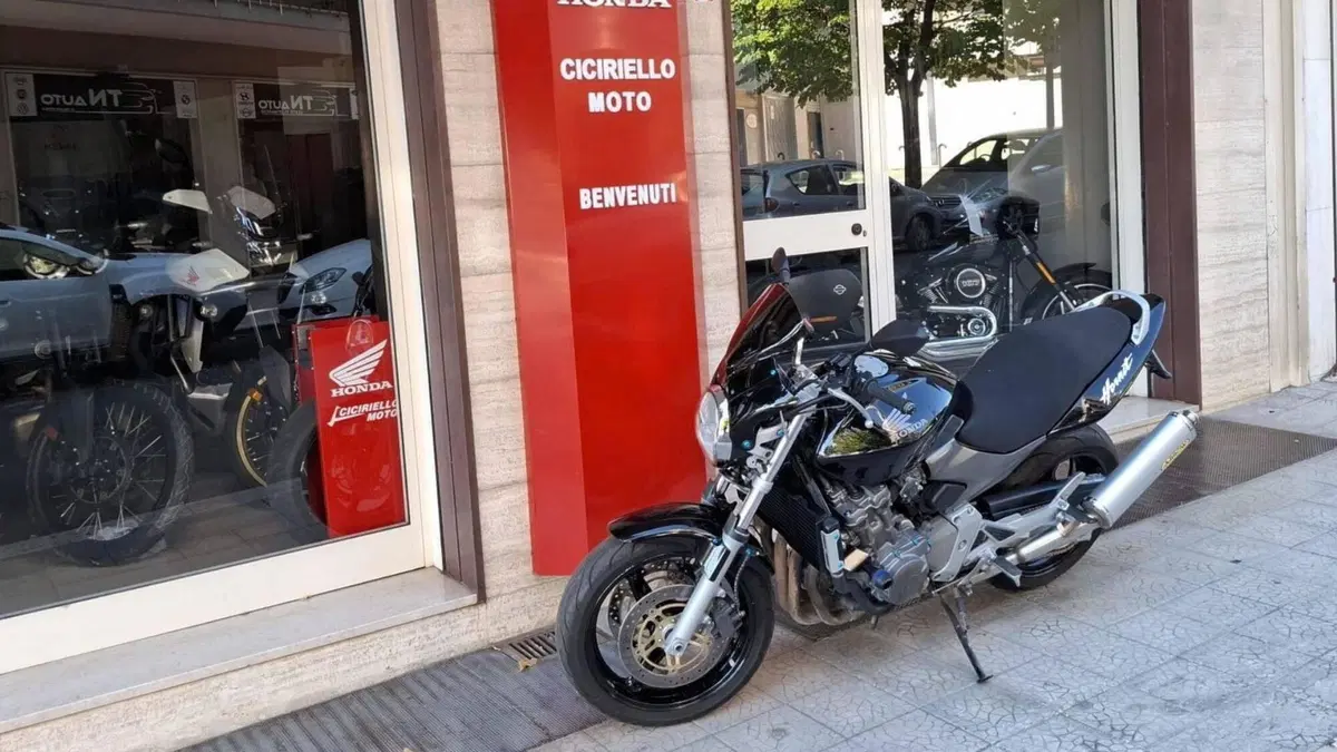 Honda Hornet 600 (2003 - 04) (9)