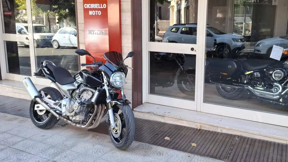 Honda Hornet 600 (2003 - 04) (11)