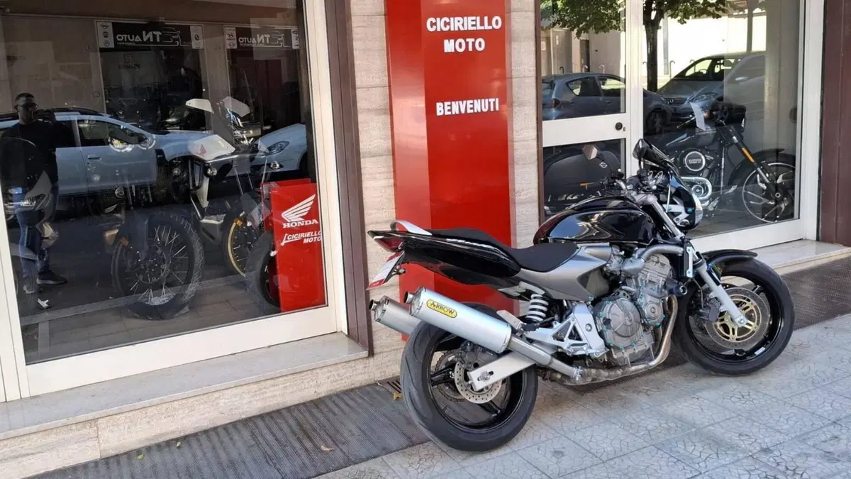 Honda Hornet 600 (2003 - 04) (12)