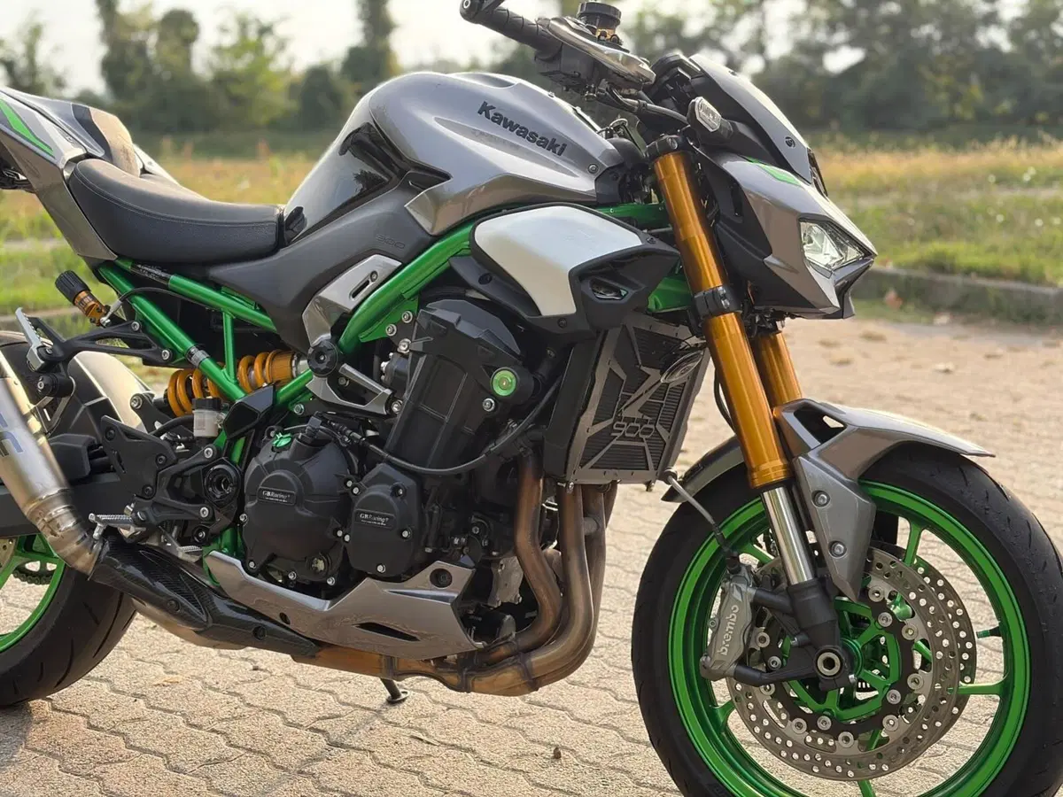 Kawasaki Z 900 SE (2025 - 27) (3)