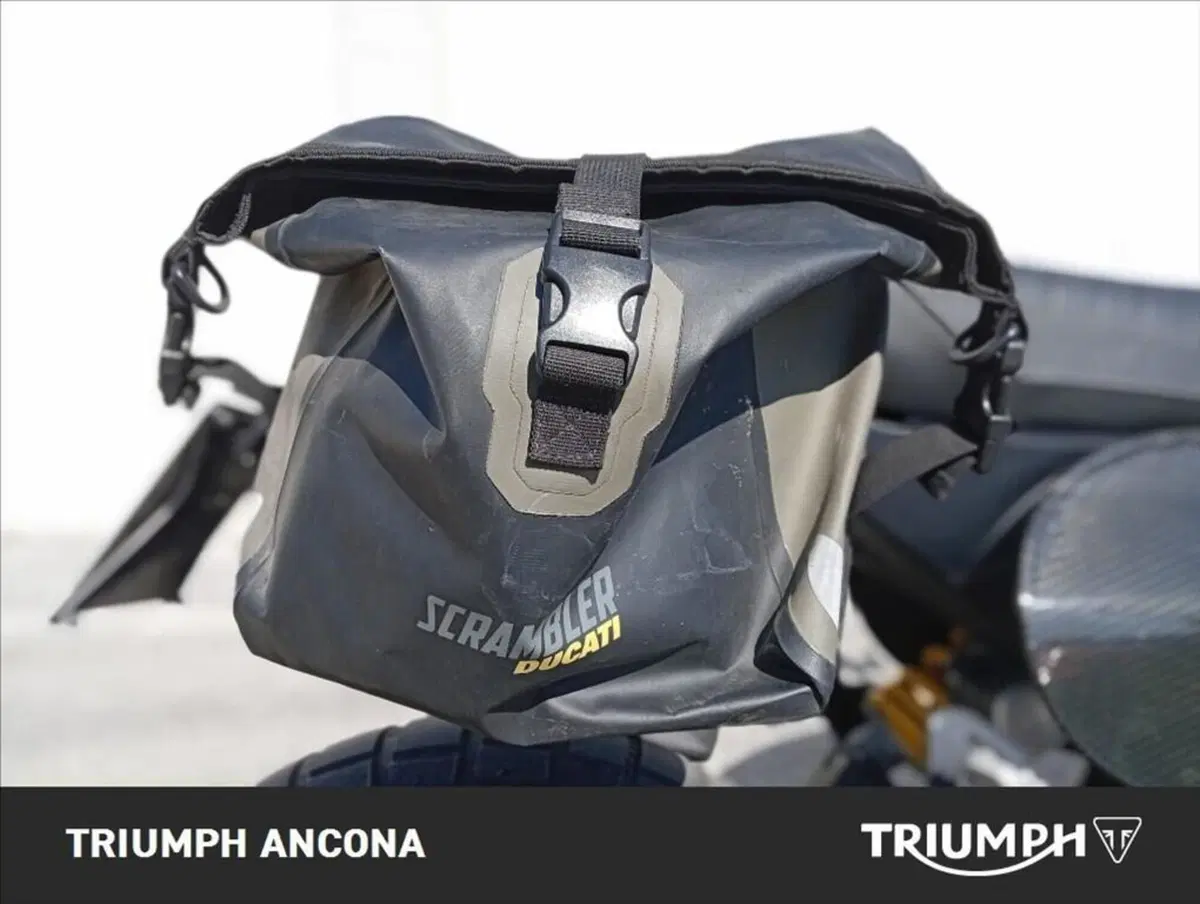 Ducati Scrambler 800 Desert Sled (2017 - 20) (6)