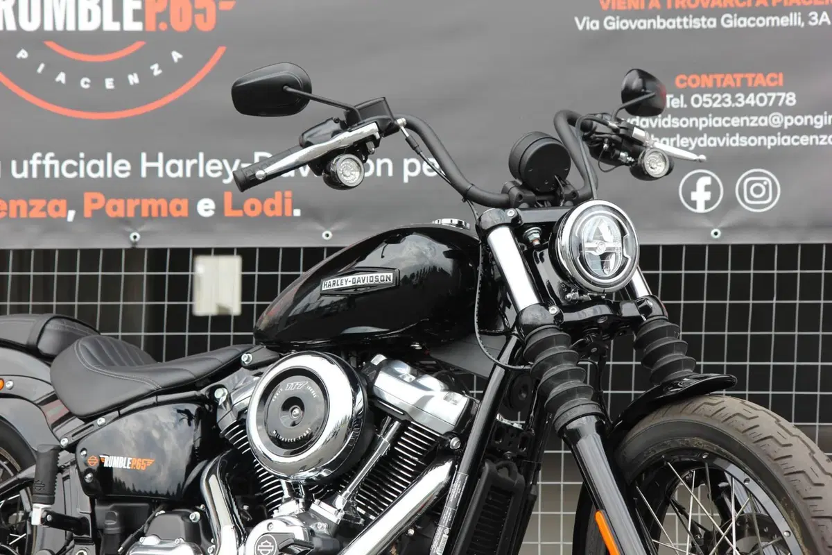 Harley-Davidson Street Bob 117 (2025 - 26) (5)