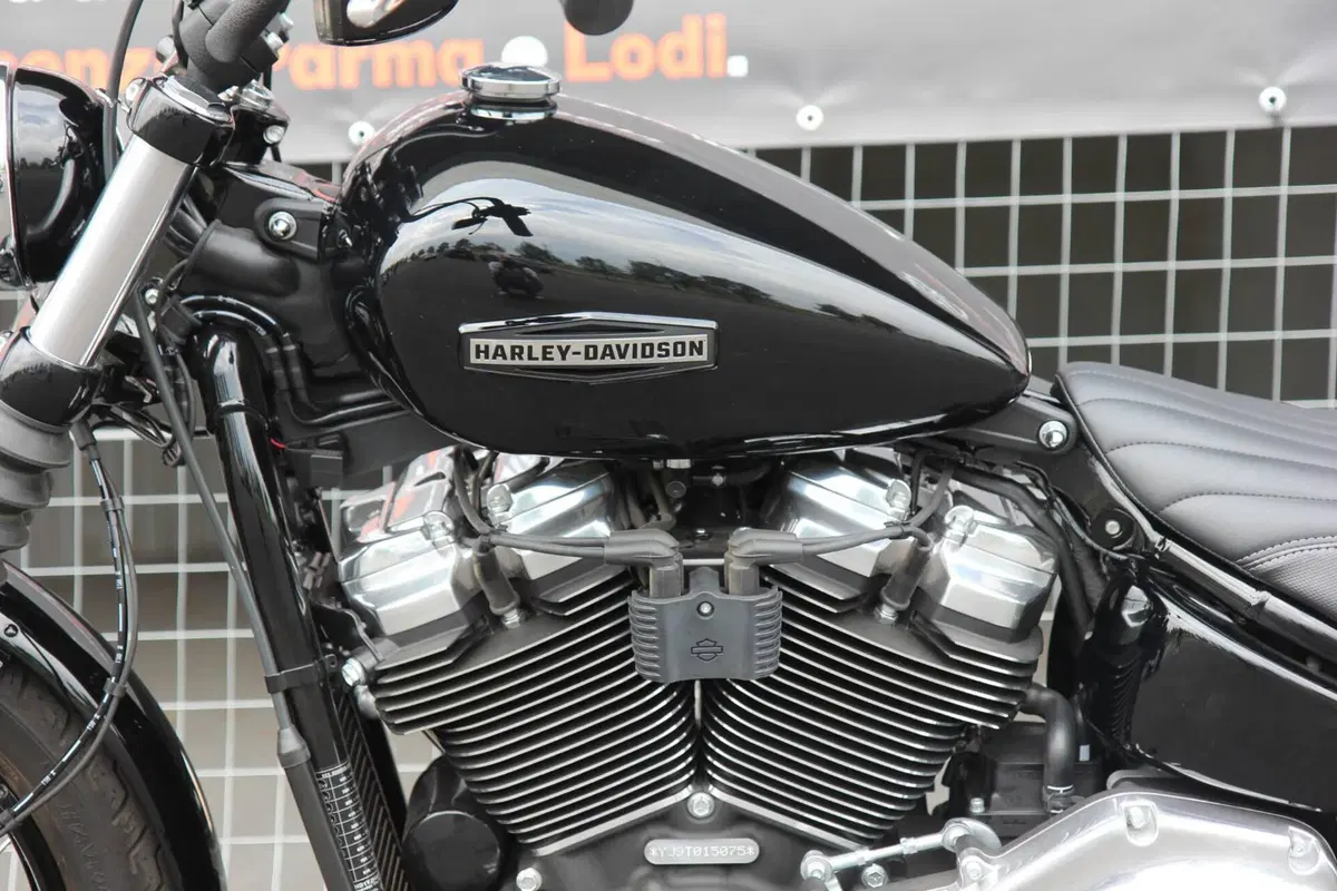Harley-Davidson Street Bob 117 (2025 - 26) (7)