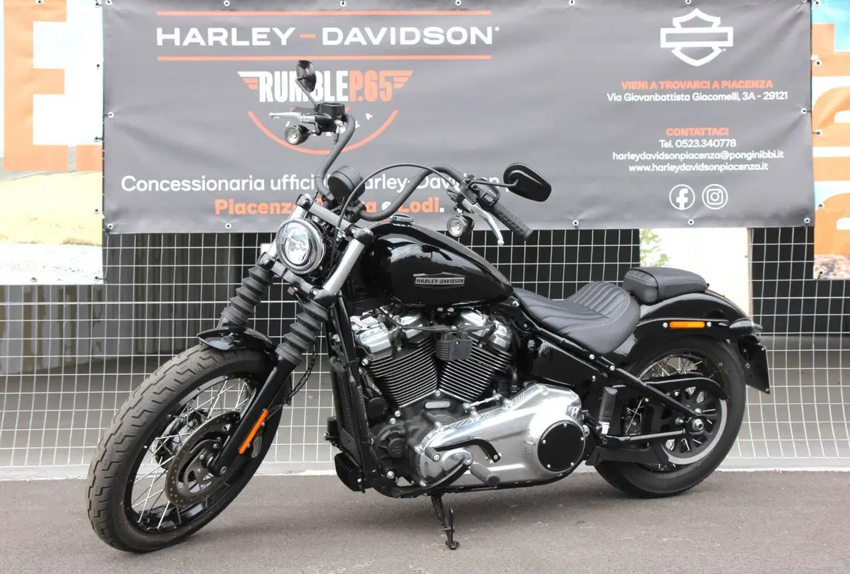 Harley-Davidson Street Bob 117 (2025 - 26) (2)