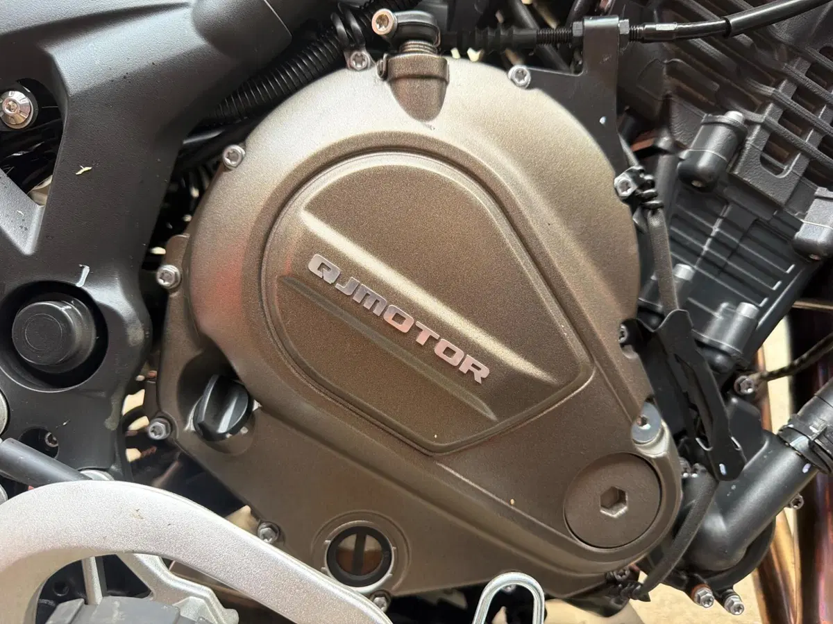 QJ Motor SRT 700 SX (2025 - 26) (6)