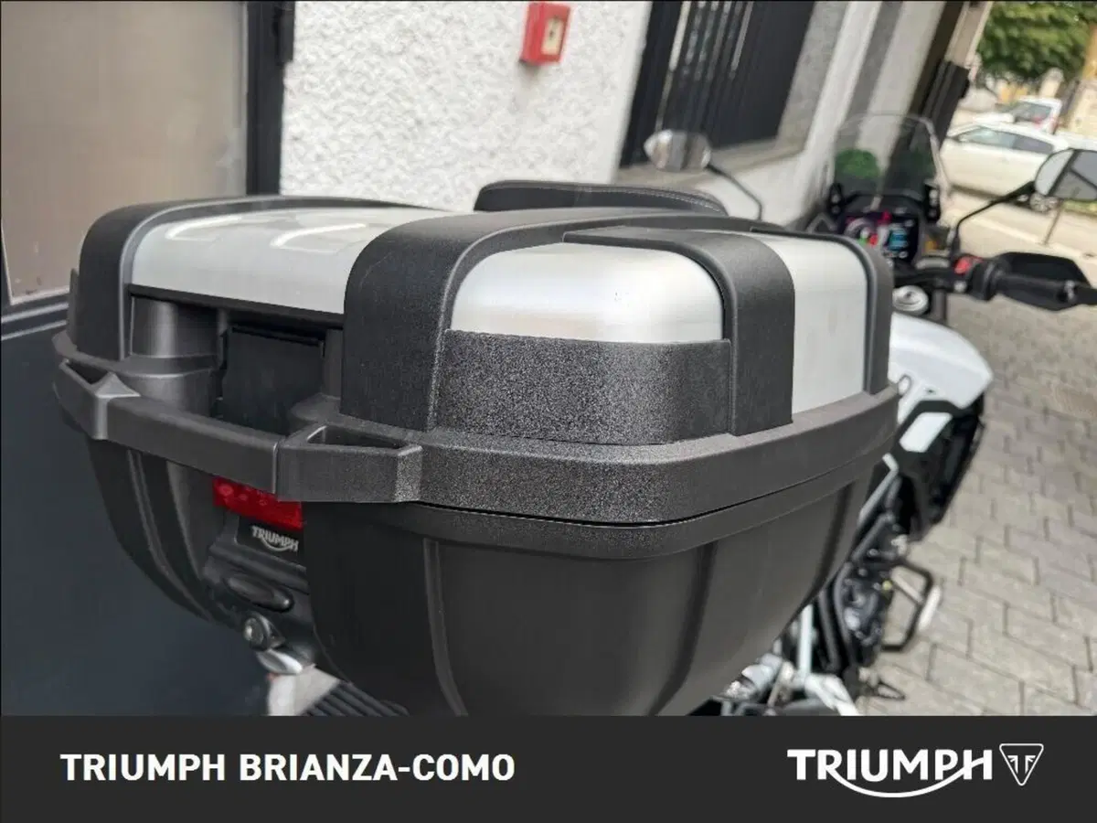 Triumph Tiger 900 GT Pro (2024 - 26) (7)
