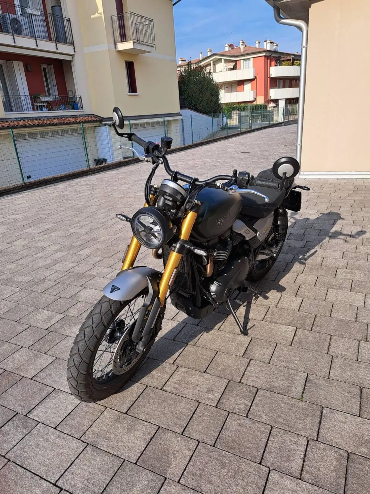 Triumph Scrambler 900 (2026) (4)