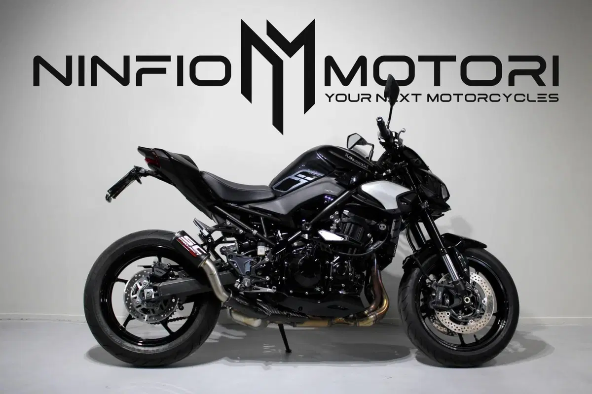 Kawasaki Z 900 (2025 - 26)