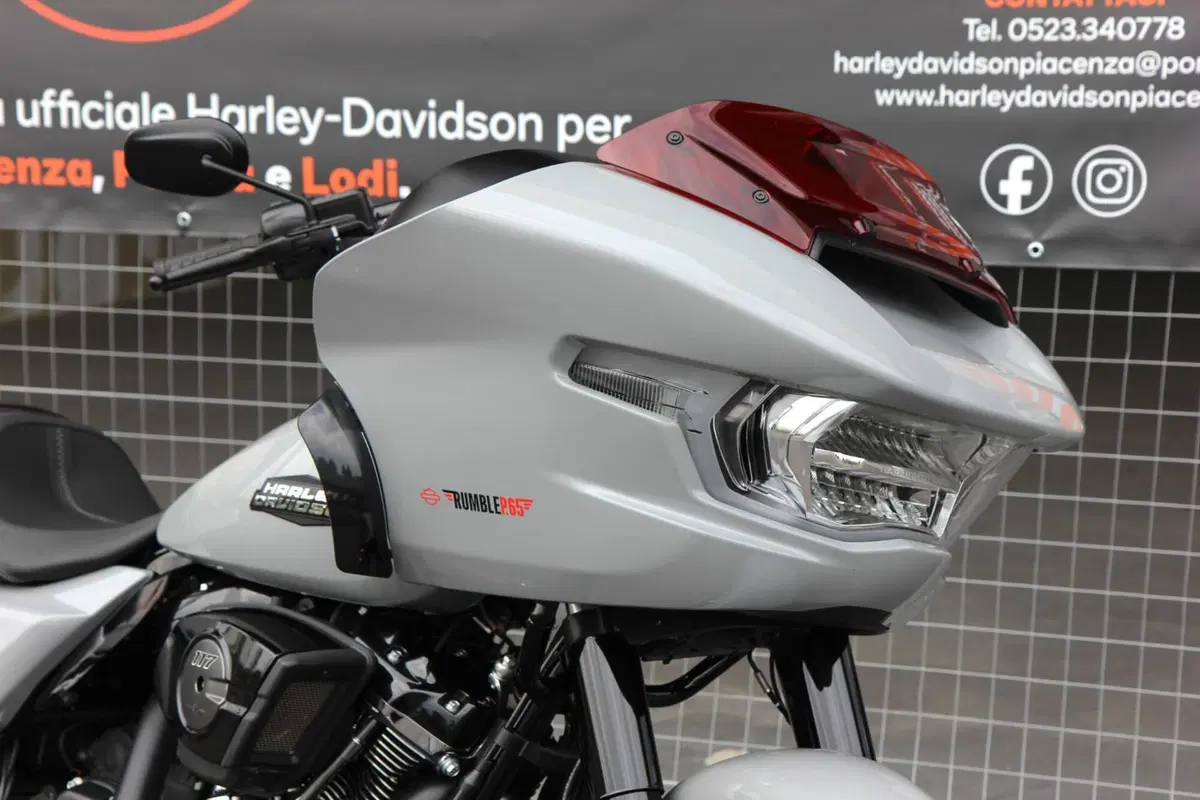 Harley-Davidson Road Glide (2024 - 26) (7)