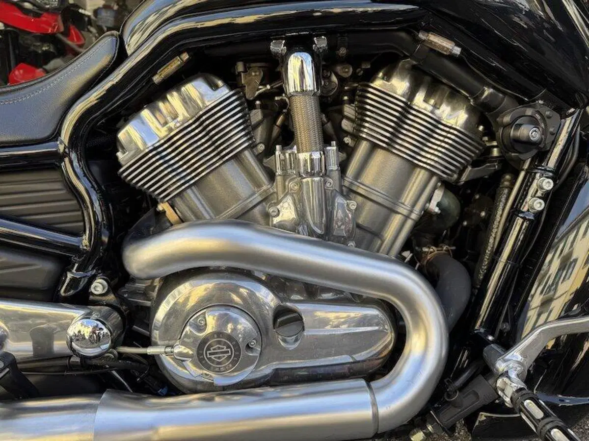 Harley-Davidson 1250 V-Rod Muscle (2009 - 17) - VRSCF (9)