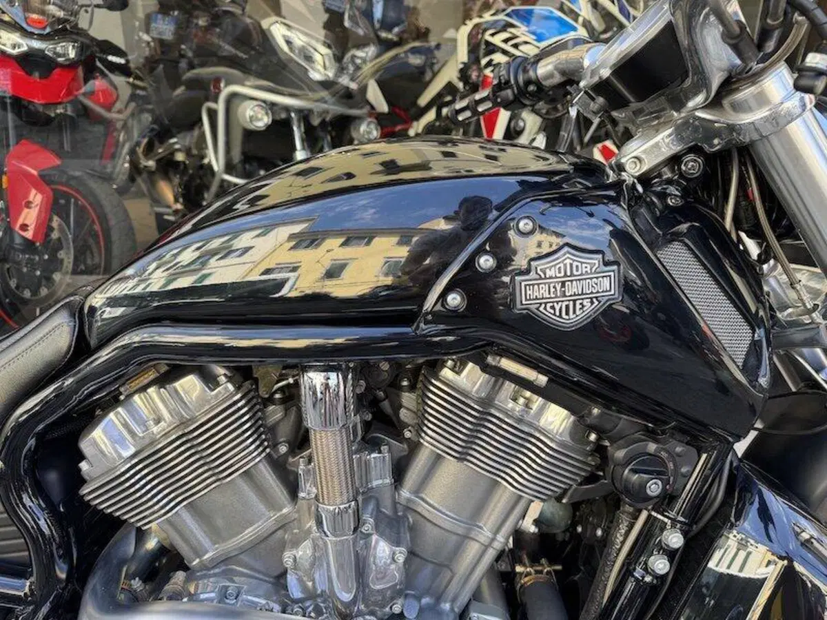 Harley-Davidson 1250 V-Rod Muscle (2009 - 17) - VRSCF (13)