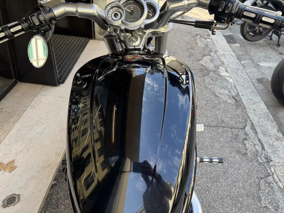Harley-Davidson 1250 V-Rod Muscle (2009 - 17) - VRSCF (20)