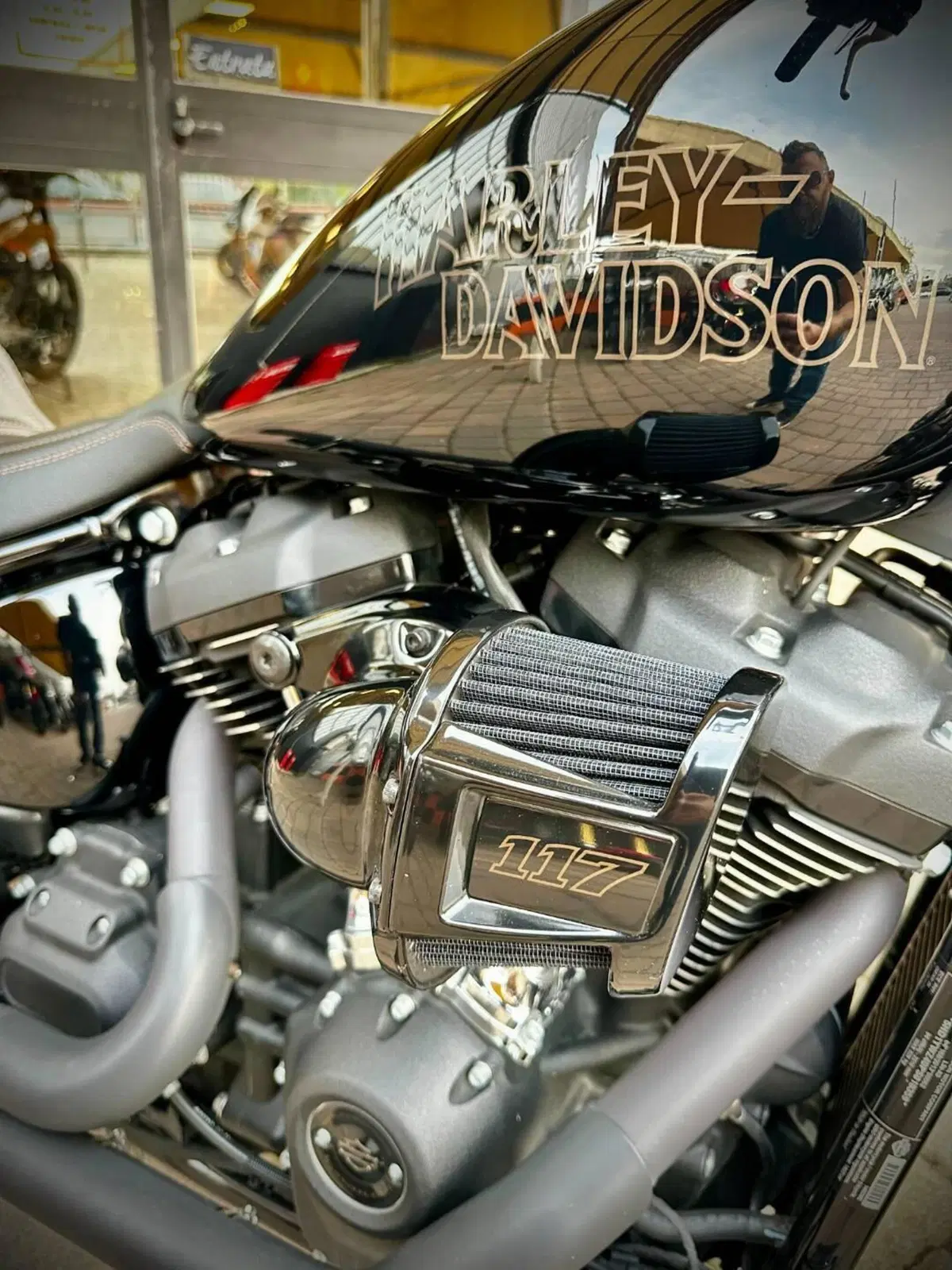 Harley-Davidson Low Rider S (2022 - 24) (15)