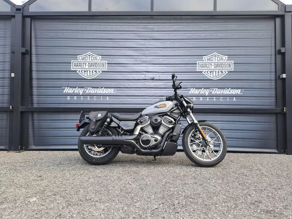 Harley-Davidson Nightster Special (2023 - 26)