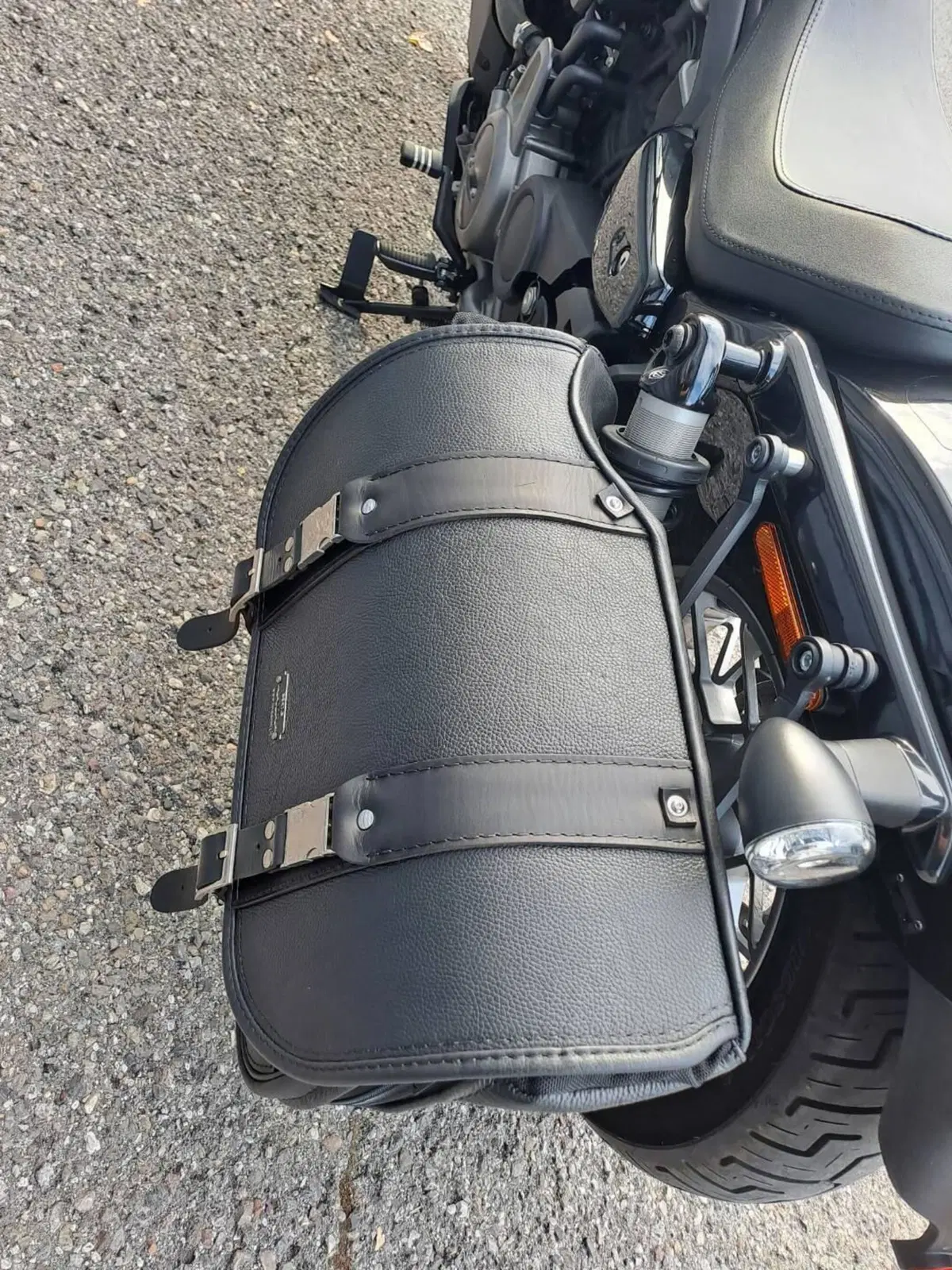 Harley-Davidson Nightster Special (2023 - 26) (5)