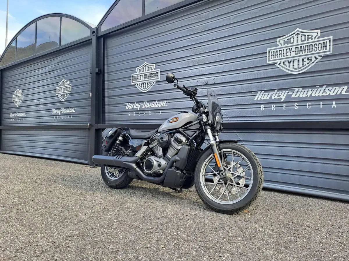 Harley-Davidson Nightster Special (2023 - 26) (3)