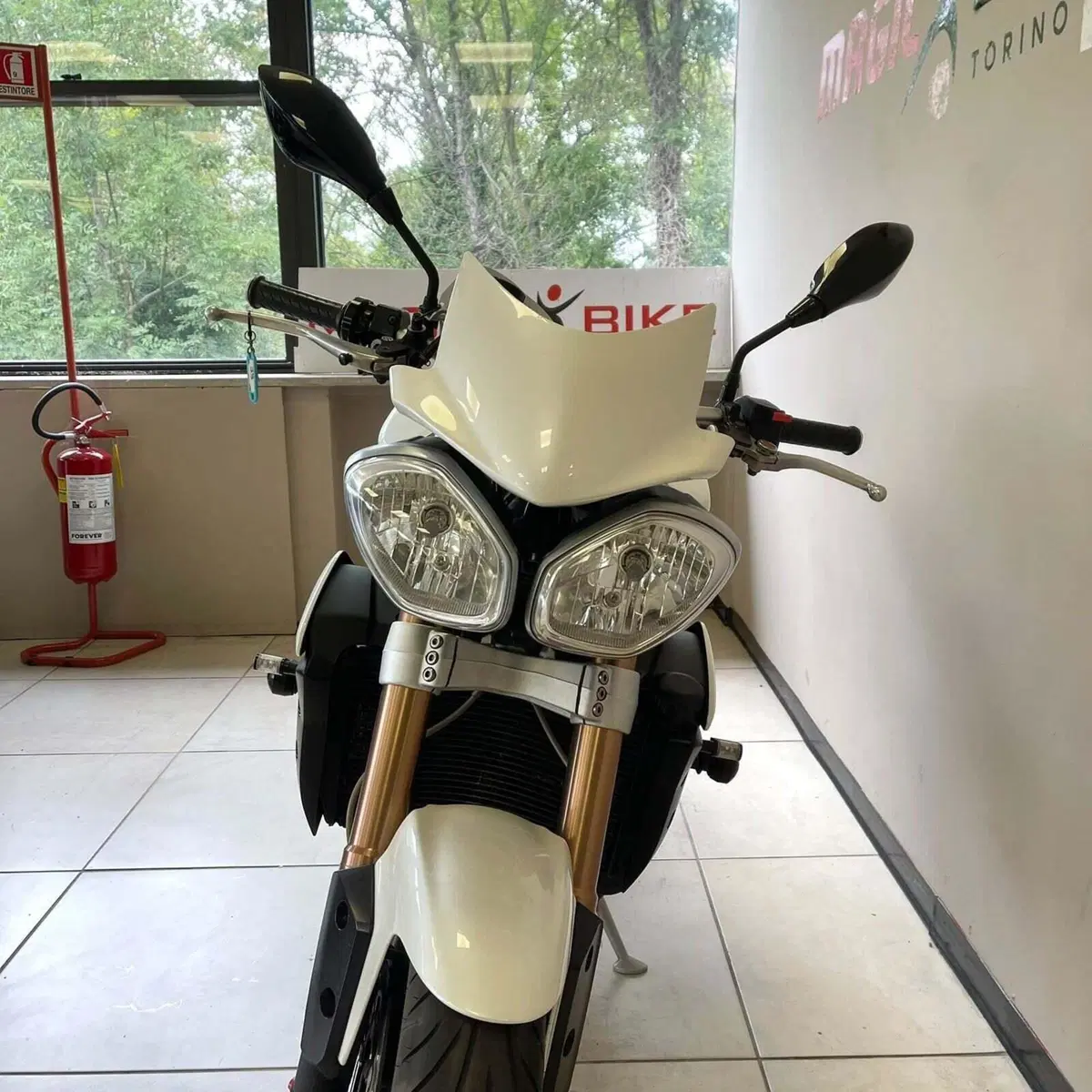 Triumph Speed Triple 1050 (2011 - 13) (4)