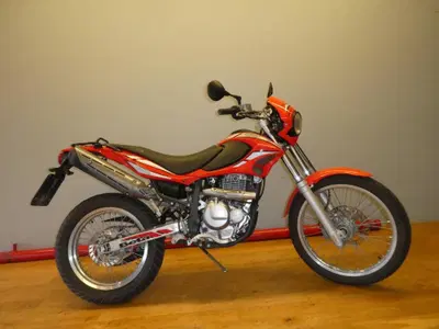 Betamotor Alp 4.0 (2006 - 08) usata