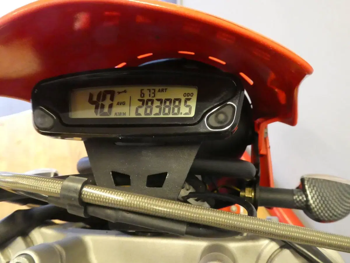 Betamotor Alp 4.0 (2006 - 08) (3)