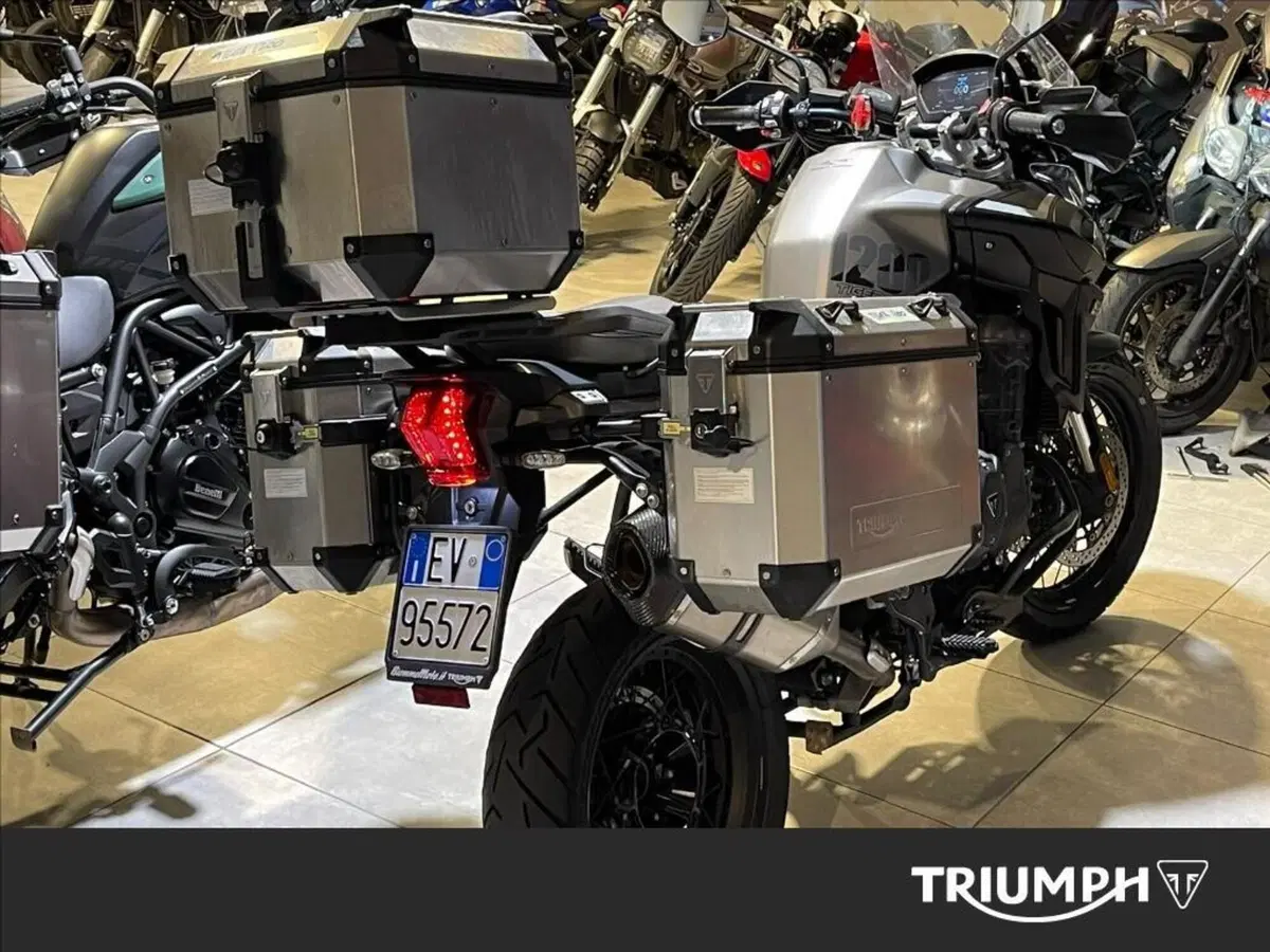 Triumph Tiger 1200 Desert Special Edition (2026) (2)