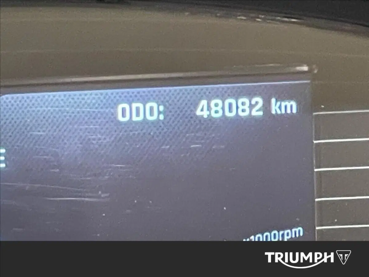 Triumph Tiger 1200 Desert Special Edition (2026) (3)