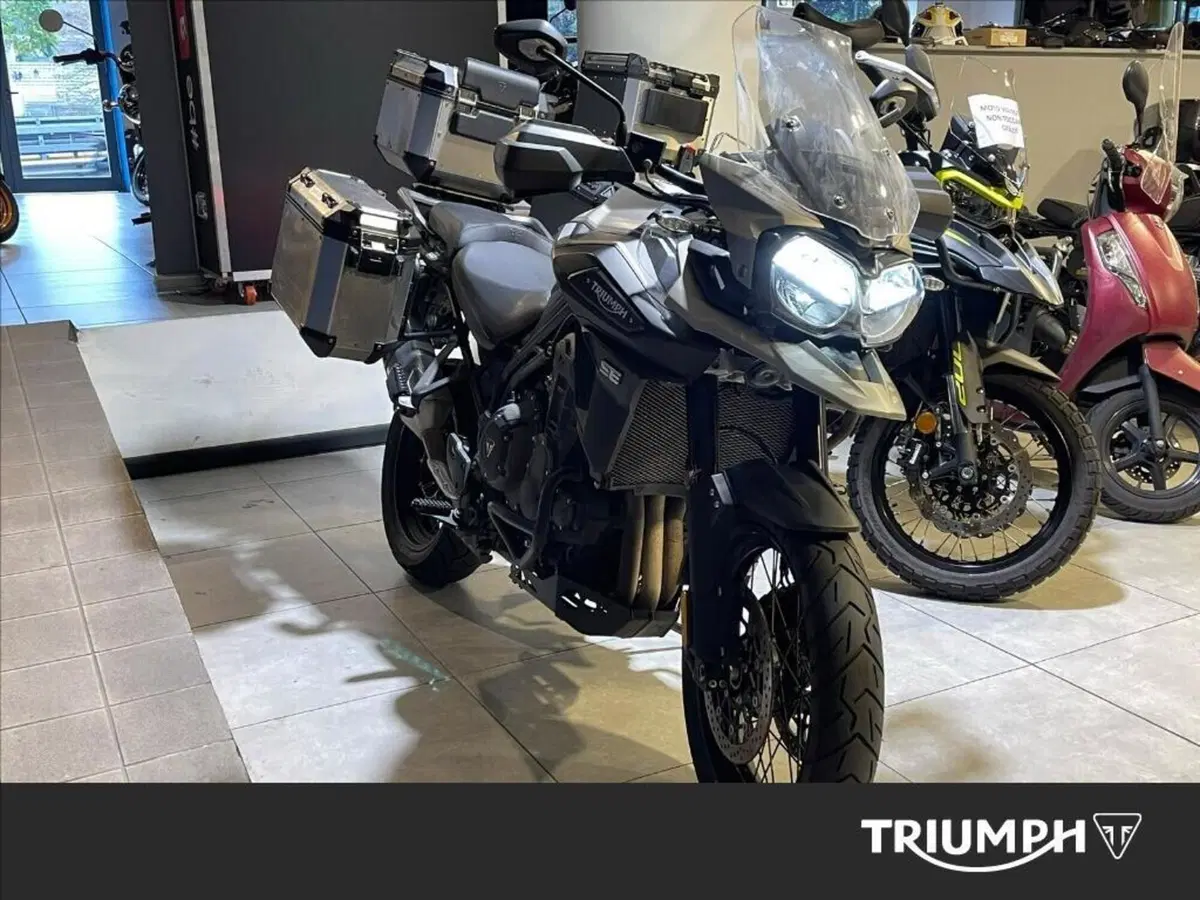 Triumph Tiger 1200 Desert Special Edition (2026)