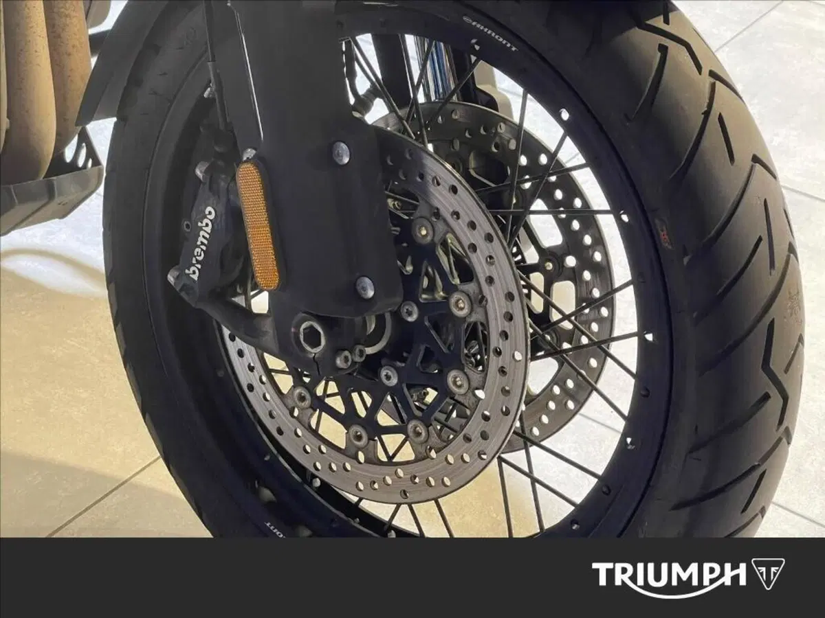 Triumph Tiger 1200 Desert Special Edition (2026) (5)