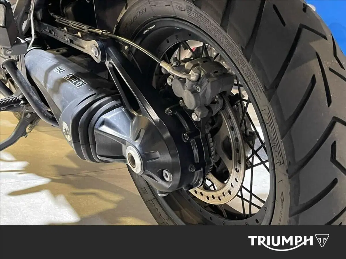 Triumph Tiger 1200 Desert Special Edition (2026) (6)